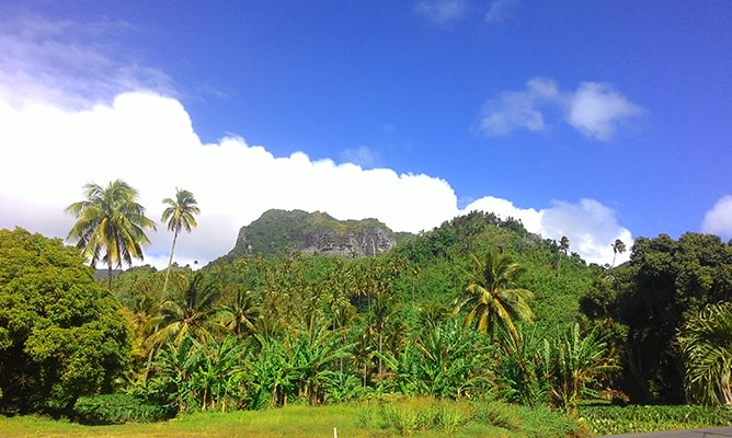 クック諸島ラロトンガ島の山側の景色（テ・マンガ山）
