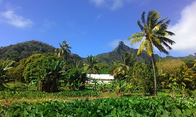 クック諸島ラロトンガ島のテ・マンガ山を望む景色