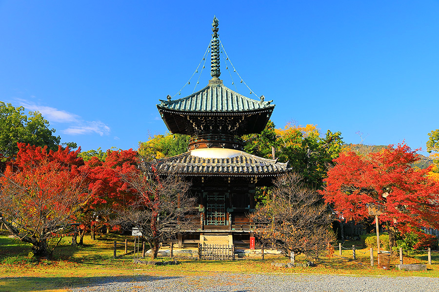 秋の京都 清凉寺（嵯峨釈迦堂）の多宝塔 今宮康博撮影