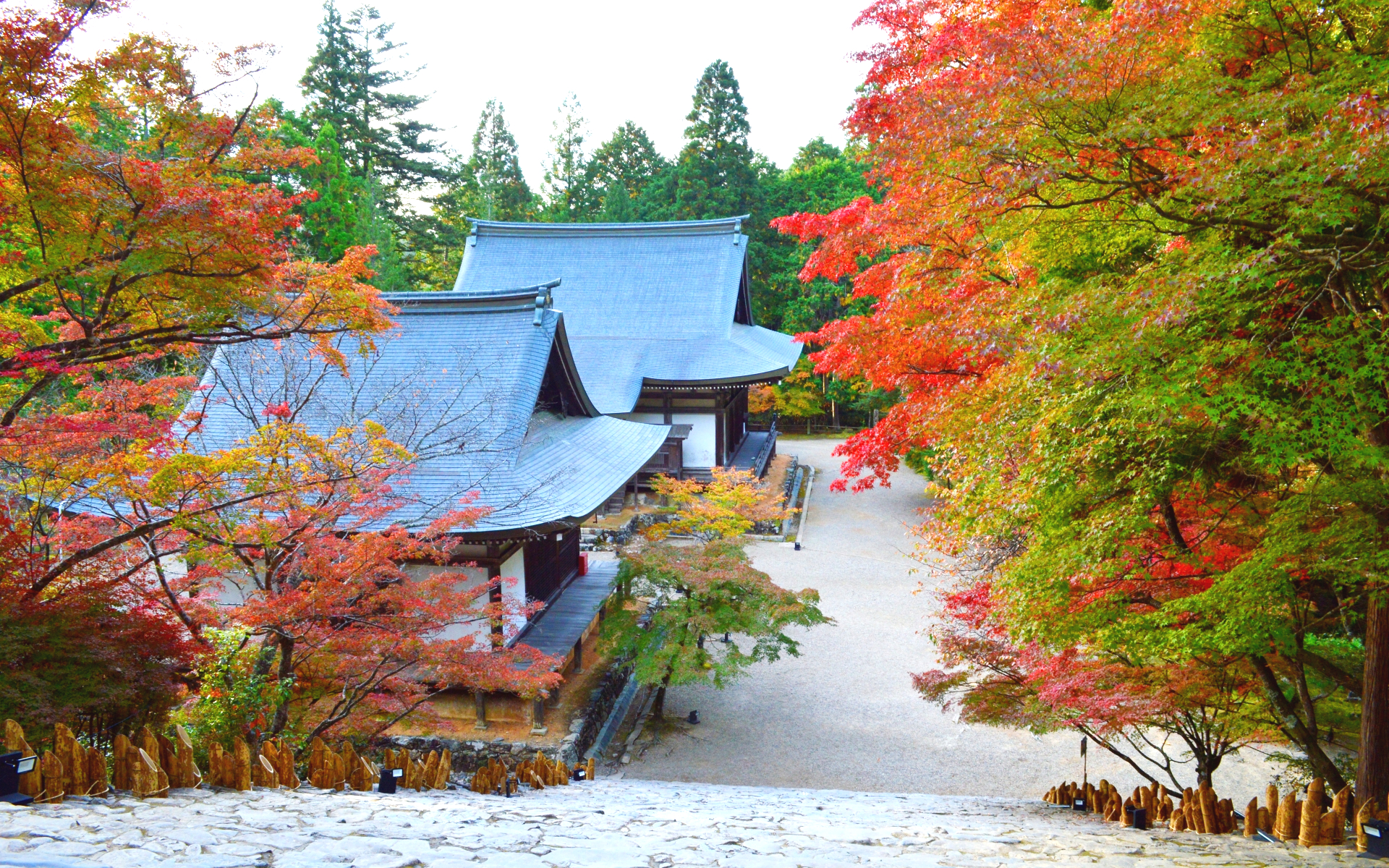 秋の京都・高雄山神護寺 境内の紅葉