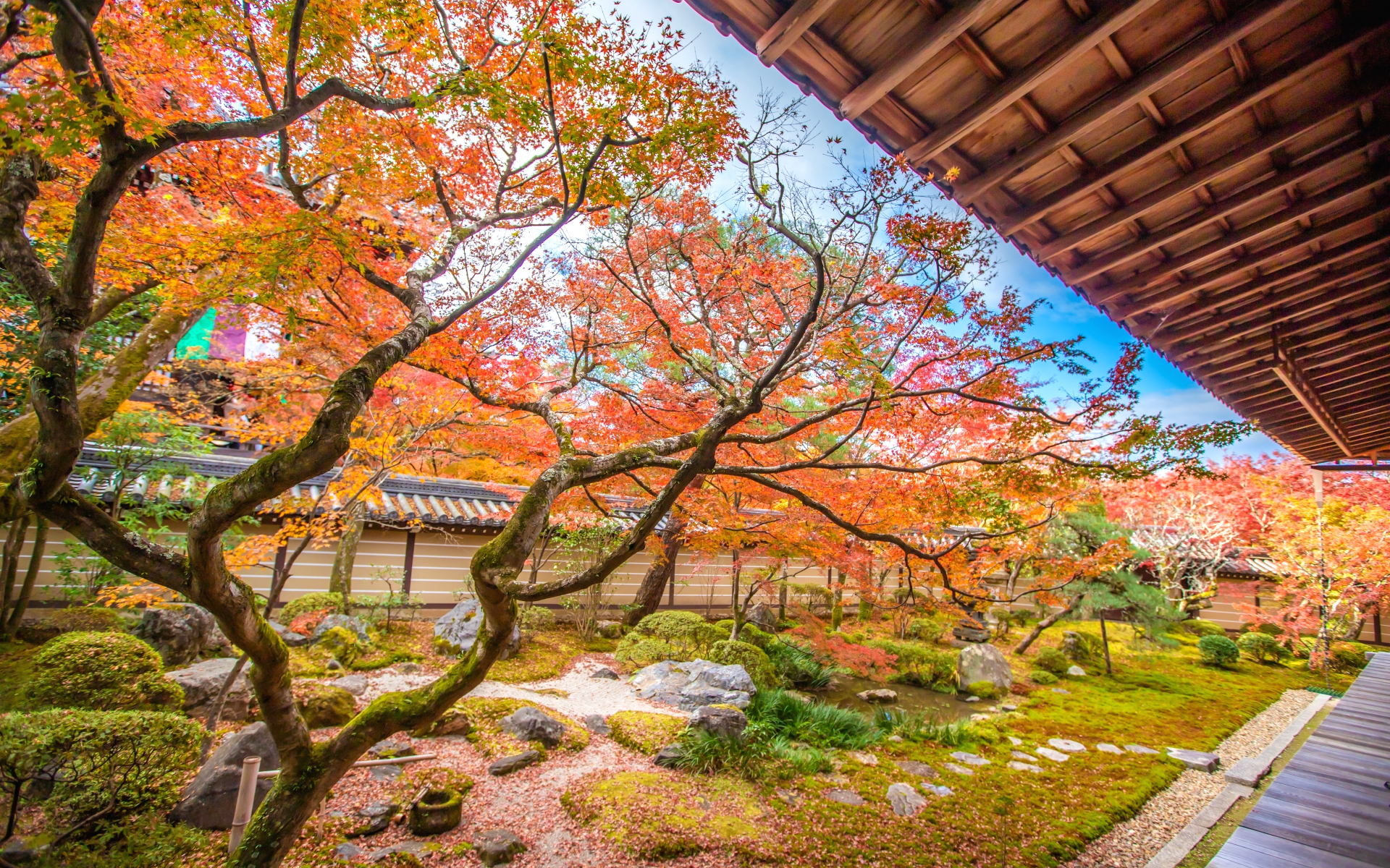 秋の京都 永観堂の庭園の紅葉