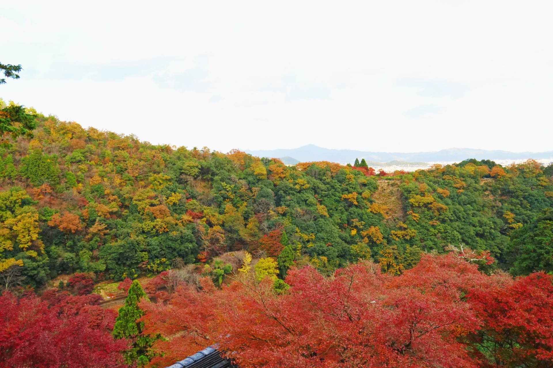 秋の京都・大悲閣千光寺から見渡せる嵐山の紅葉