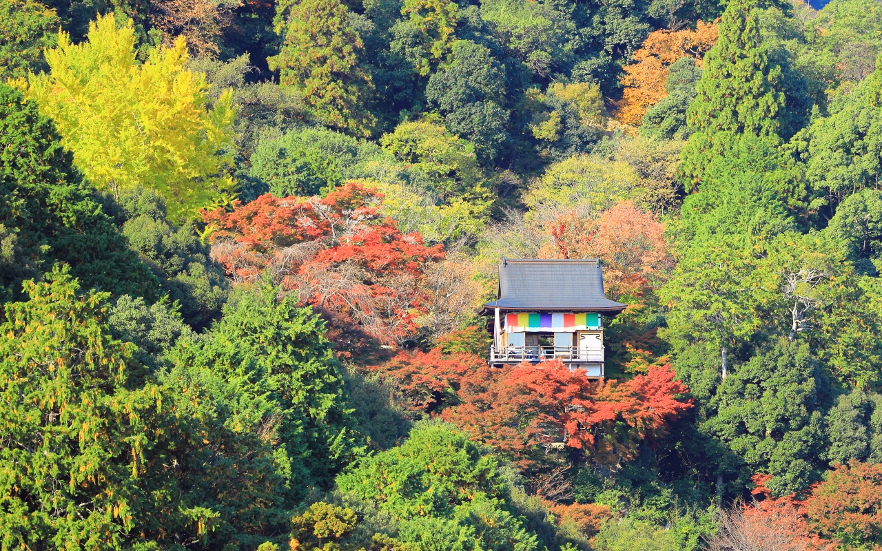 秋の京都 嵐山・嵯峨野エリア紅葉の名所 大悲閣千光寺