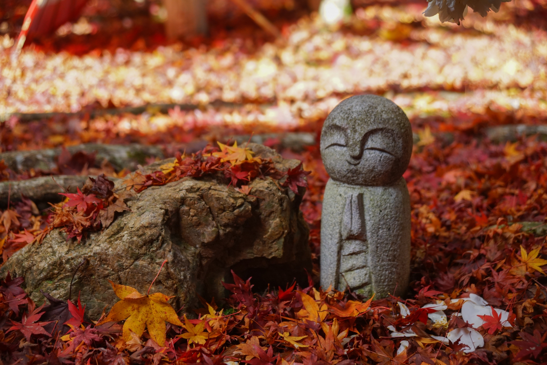 秋の京都 長岡京市・柳谷観音 楊谷寺 落ち紅葉と小地蔵