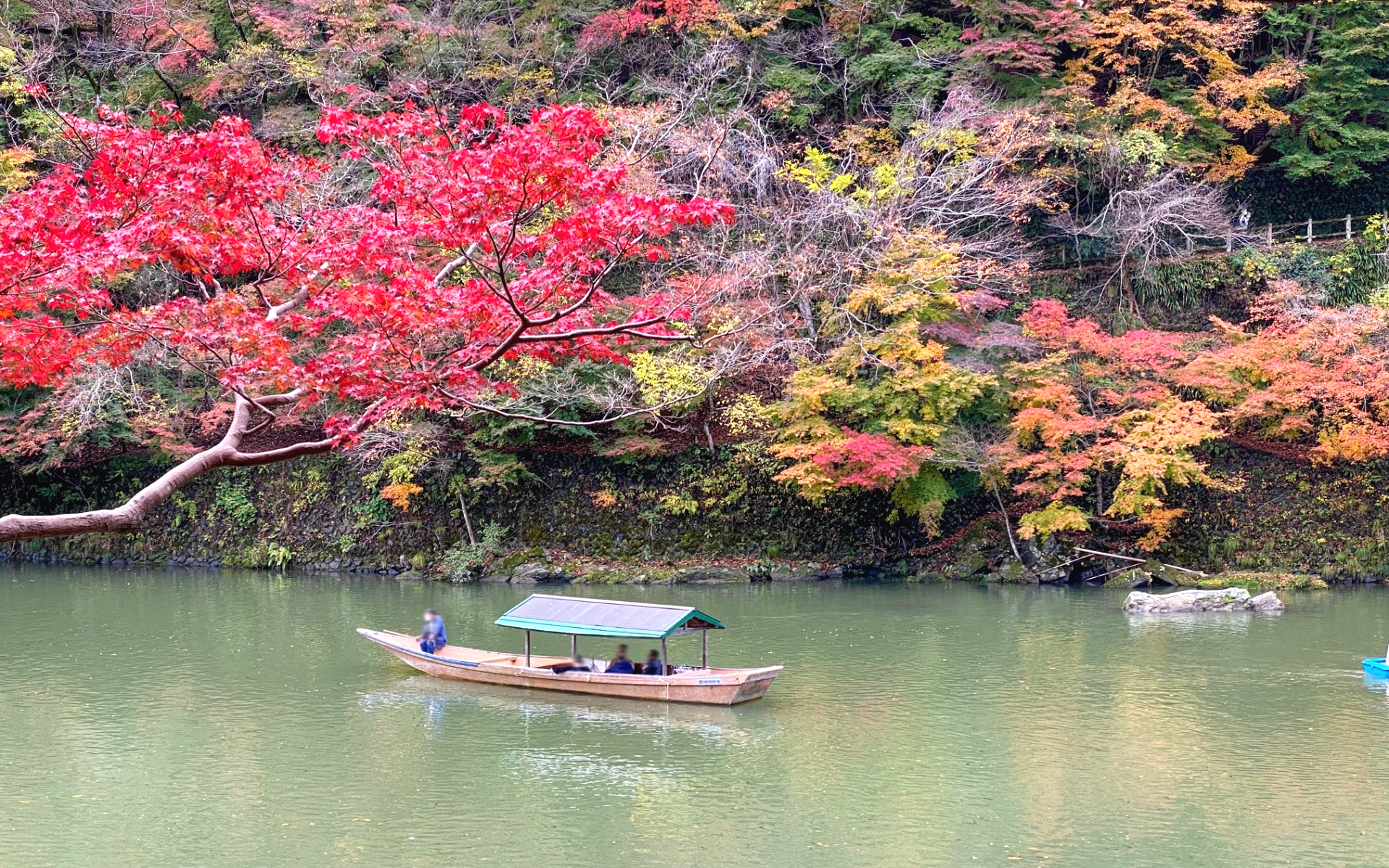 秋の京都・嵐山 大堰川 見頃を迎えた紅葉と屋形船