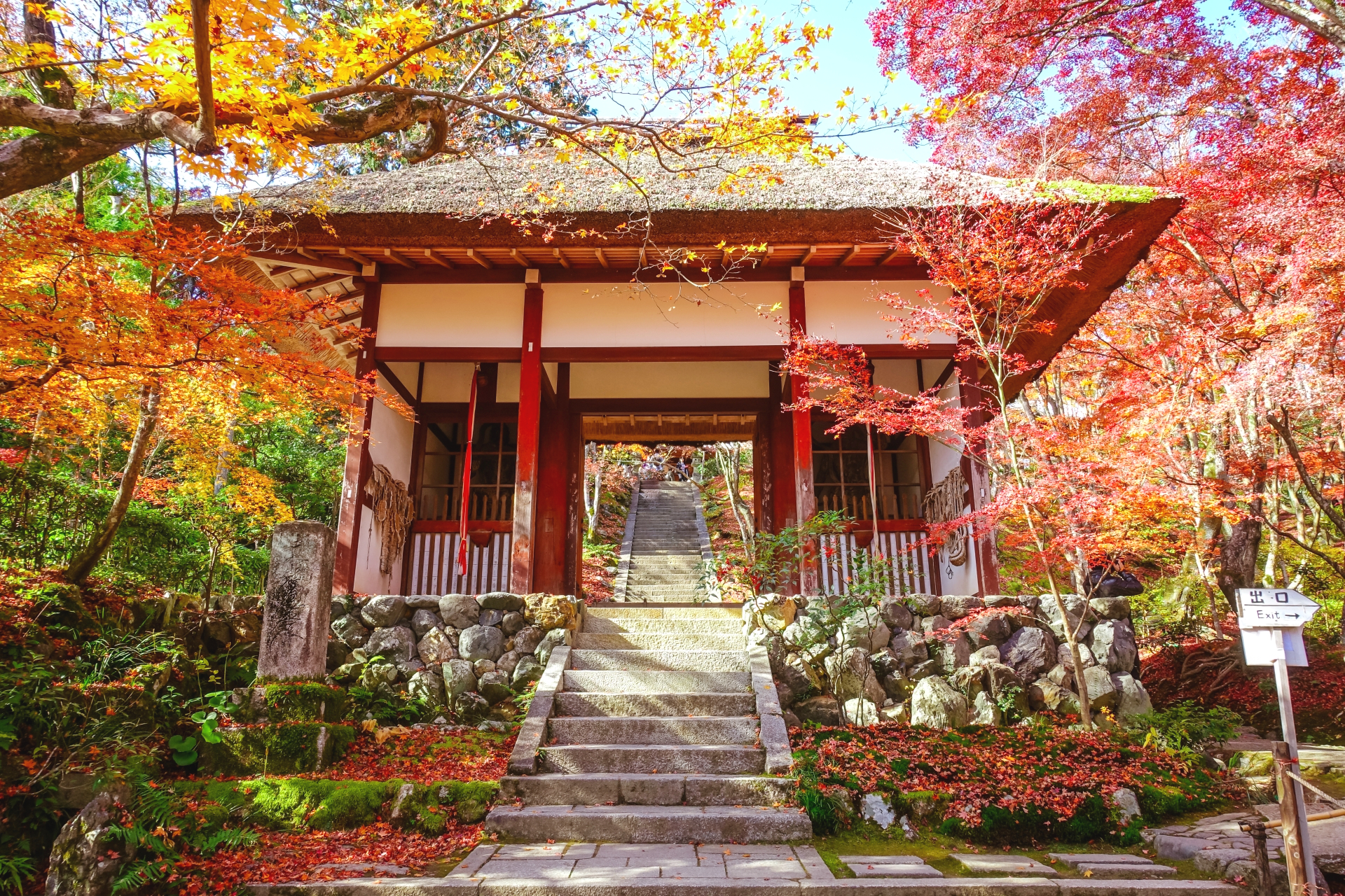 秋の京都・常寂光寺仁王門周辺の赤く色付いた紅葉