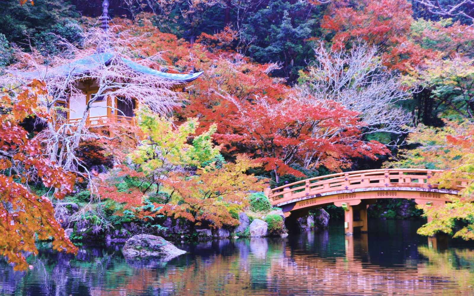 京都・秋の醍醐寺 見頃のピークを迎えた紅葉