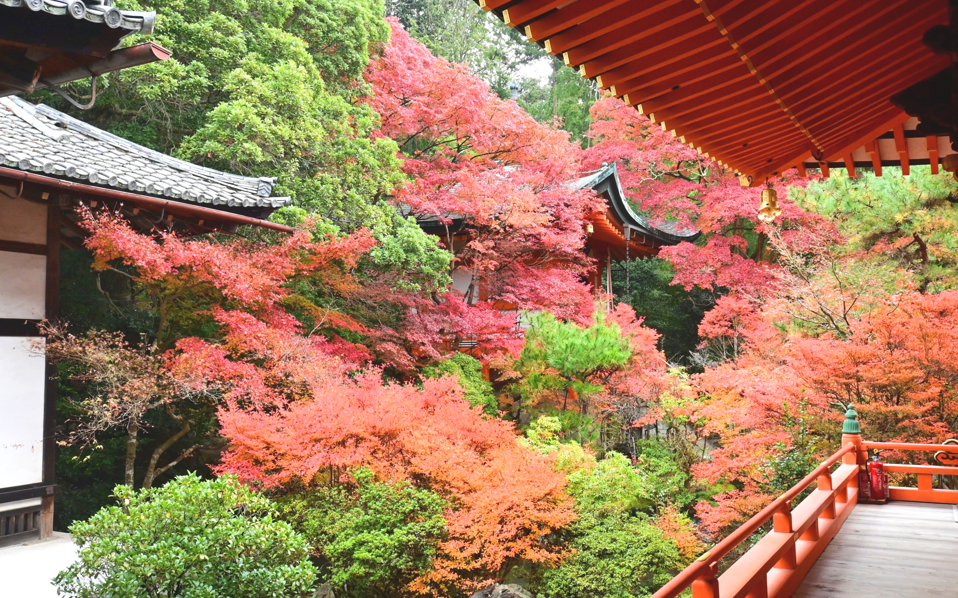 秋の京都・山科 毘沙門堂 本殿庭園からの紅葉