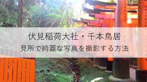 伏見稲荷大社・千本鳥居の見所で綺麗な写真を撮影する方法！