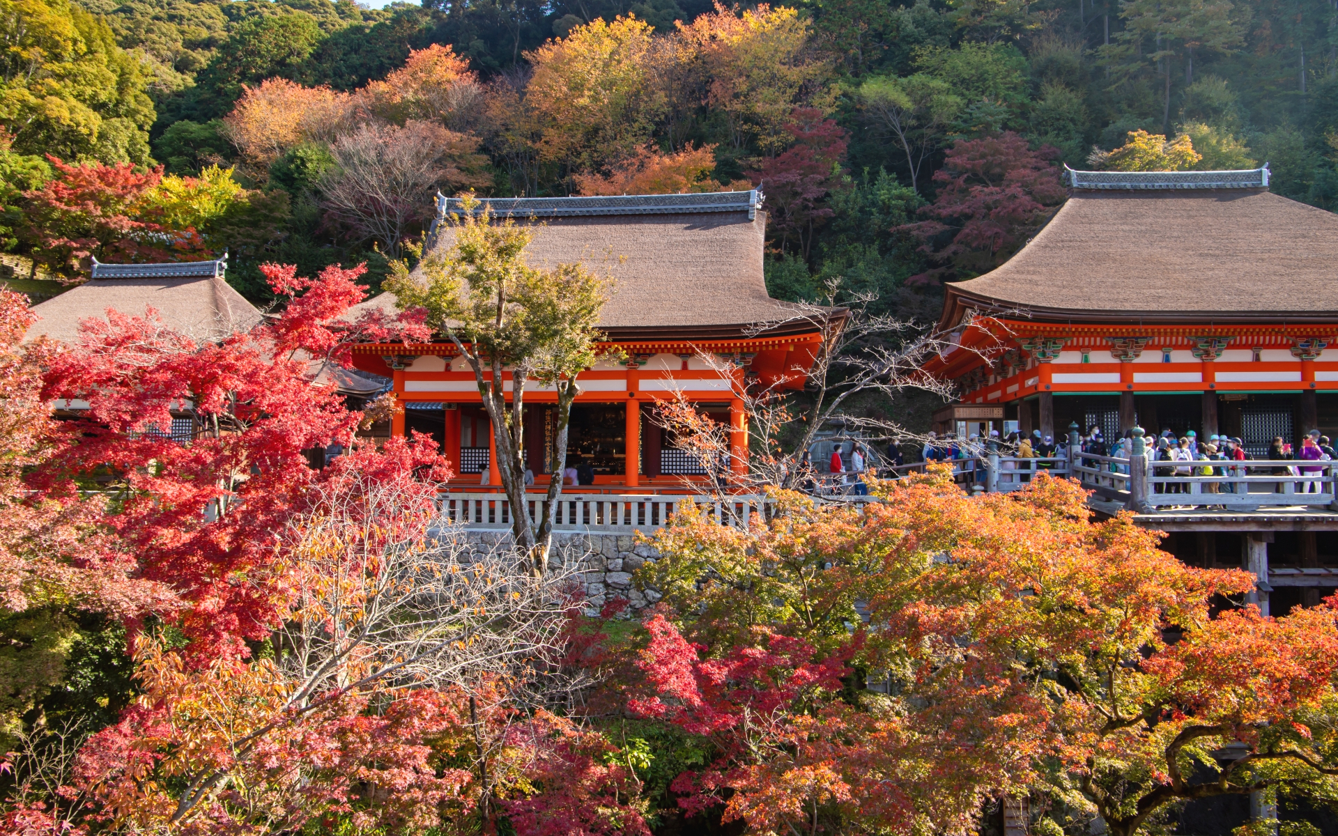 京都・秋の紅葉 清水寺 奥の院と阿弥陀堂