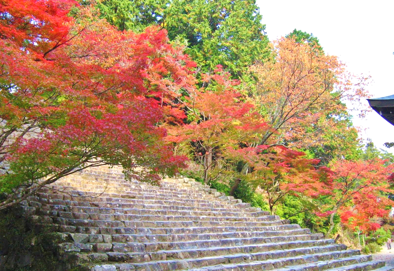 秋の京都・高雄山神護寺の紅葉と石段