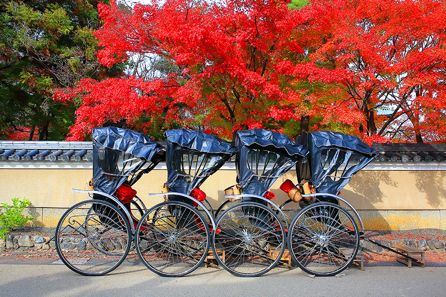 秋の京都・嵐山 清涼寺（嵯峨釈迦堂）の紅葉と人力車 今宮康博撮影