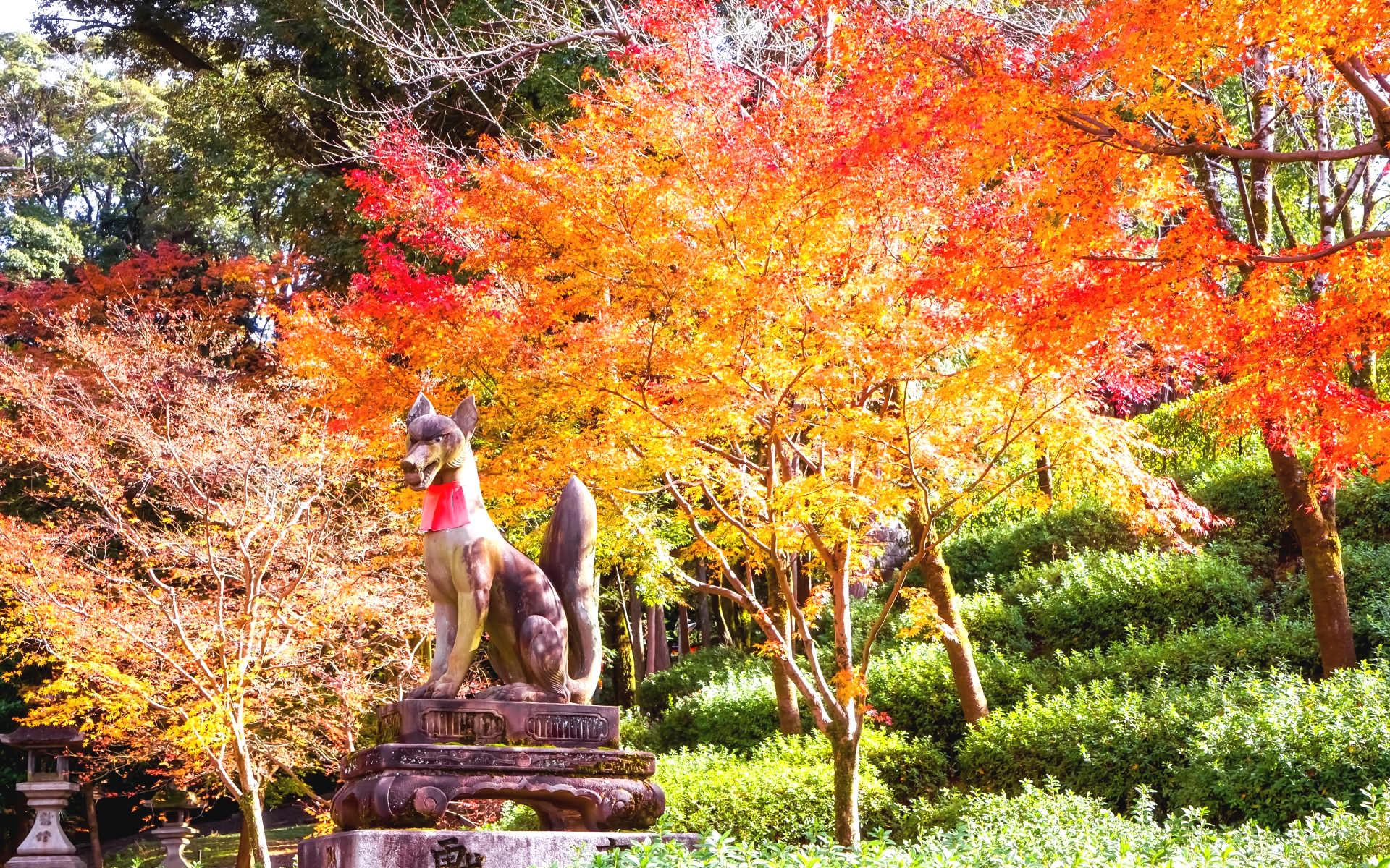 京都・伏見稲荷大社の狐と紅葉