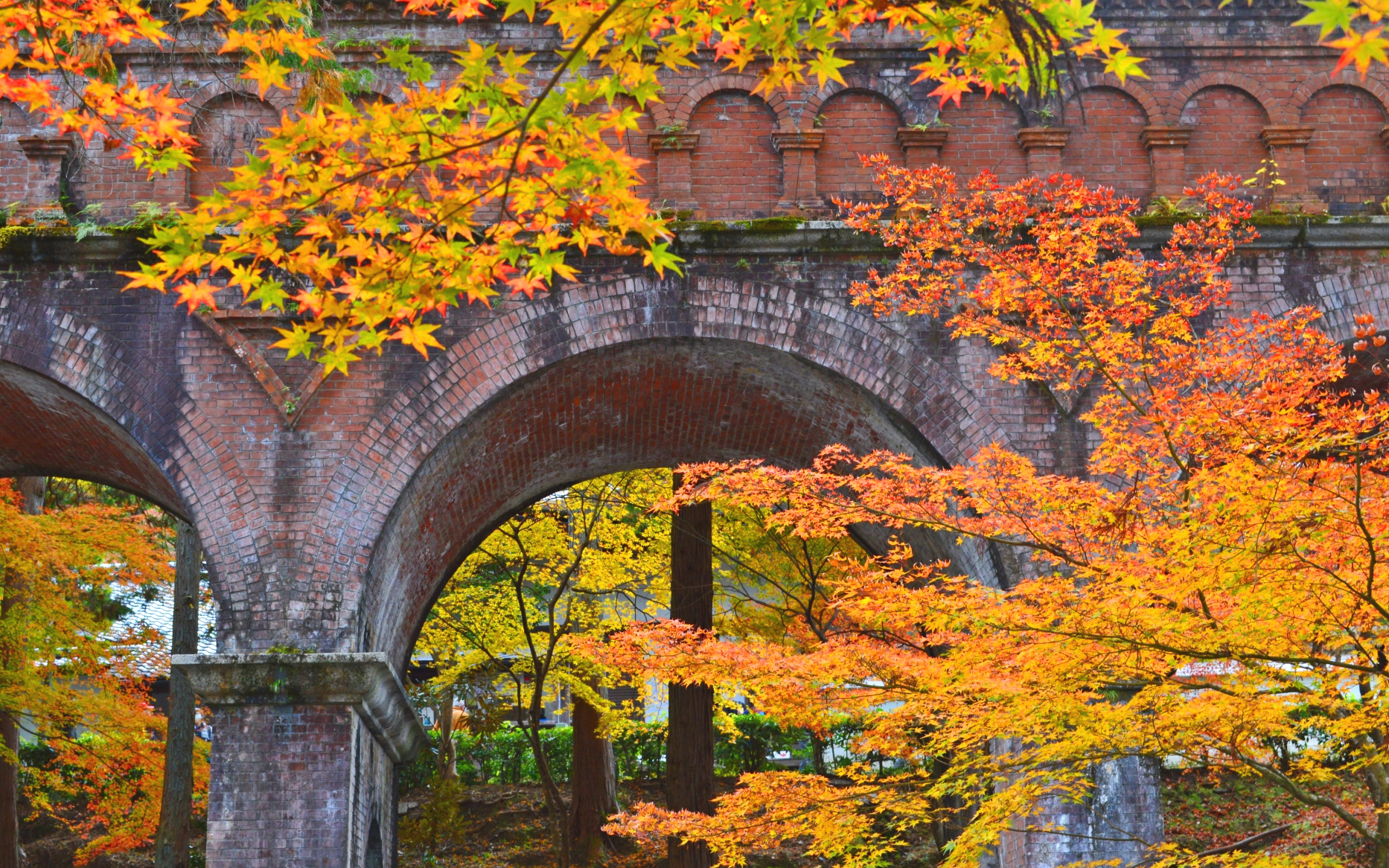 秋の京都・南禅寺 水路閣と色づいた紅葉