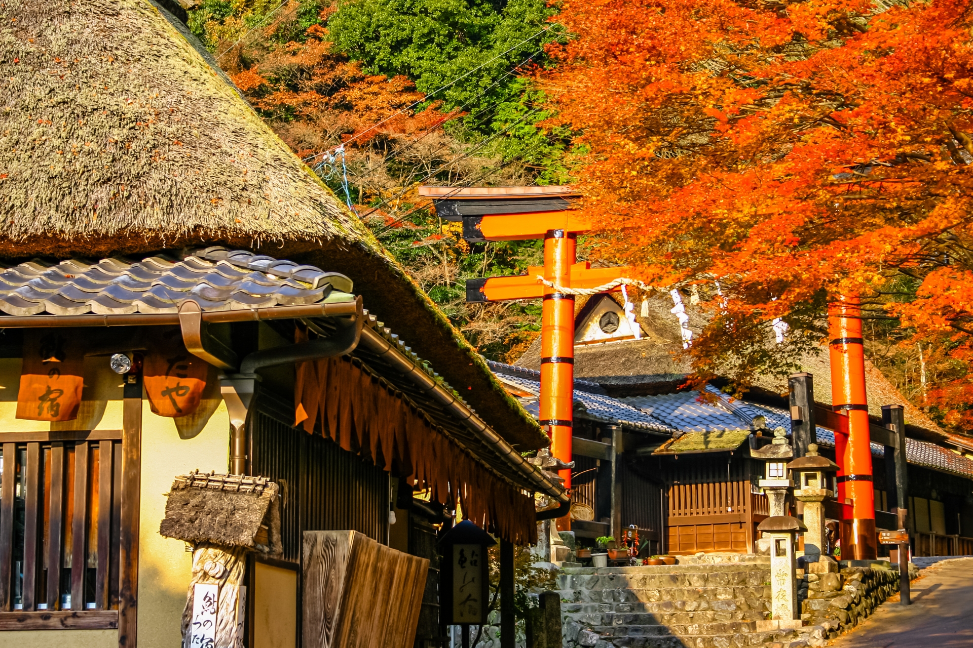 秋の京都・嵯峨鳥居本 趣ある集落 愛宕神社一の鳥居と紅葉