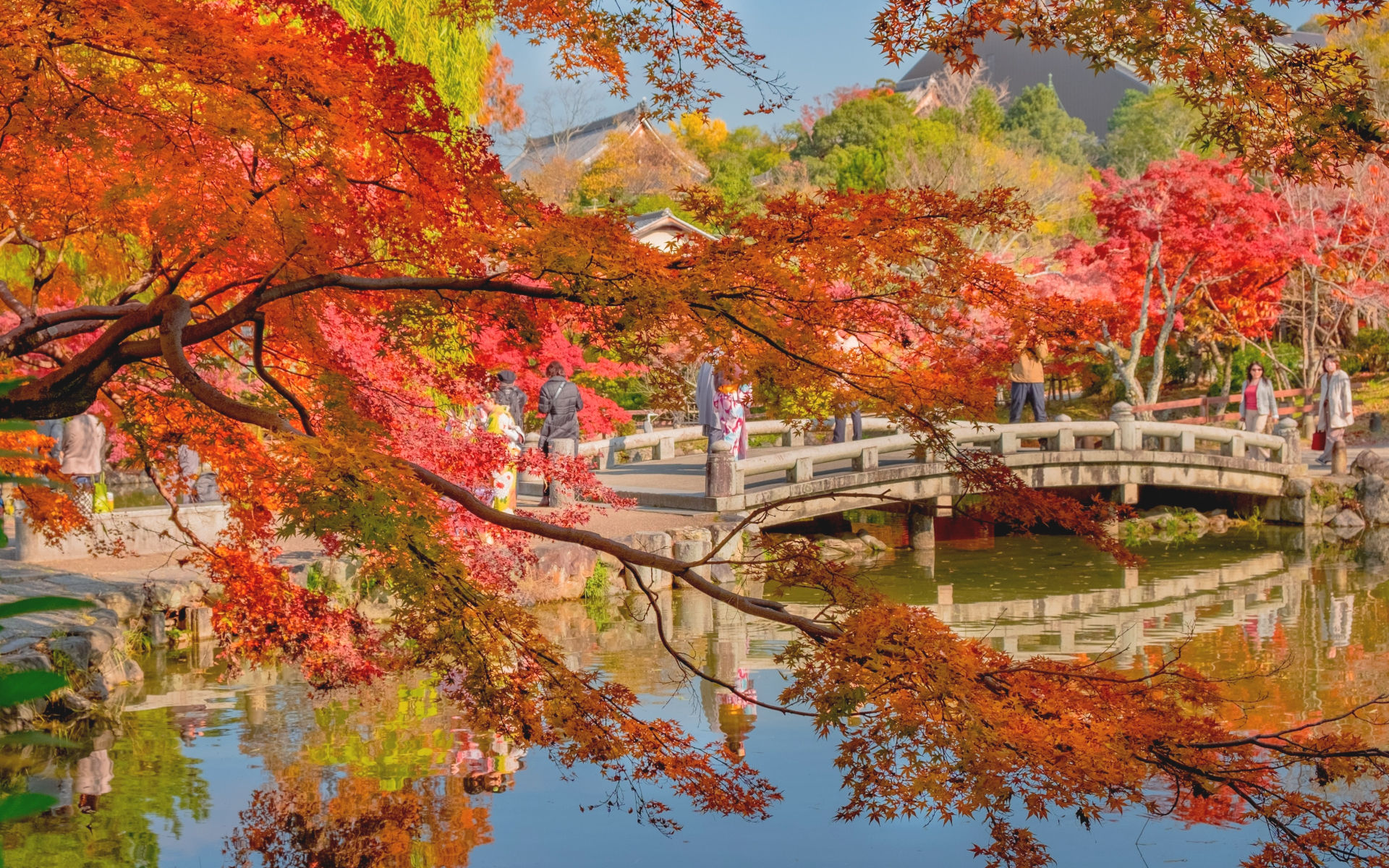 秋の京都 紅葉の色づいた円山公園・ひょうたん池