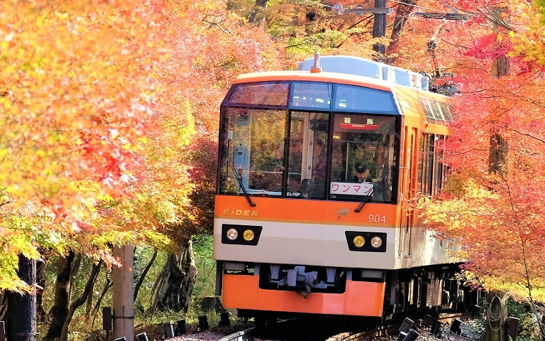 秋の京都・叡山電車 紅葉のトンネル