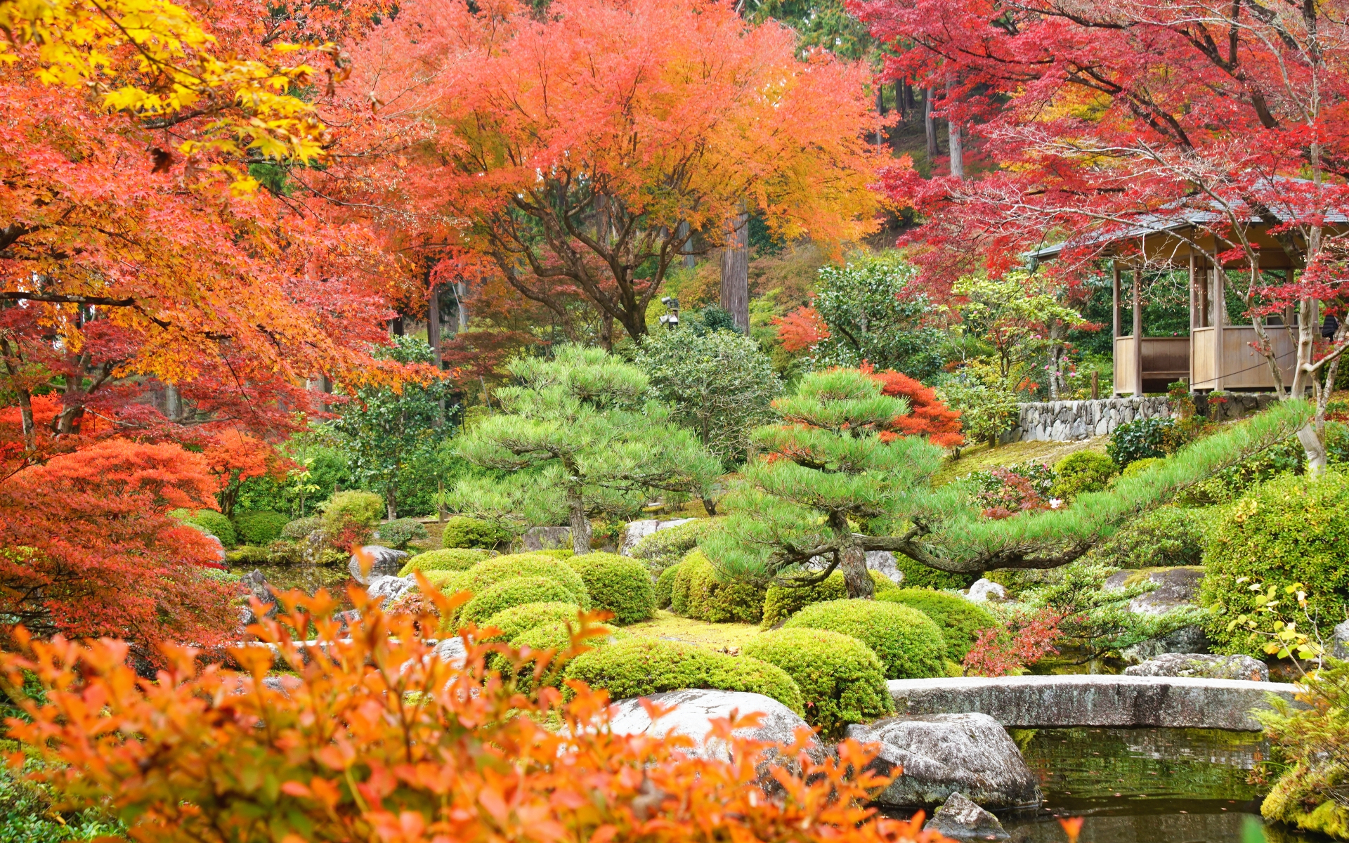 秋の京都 伏見・宇治エリア 三室戸寺の紅葉２