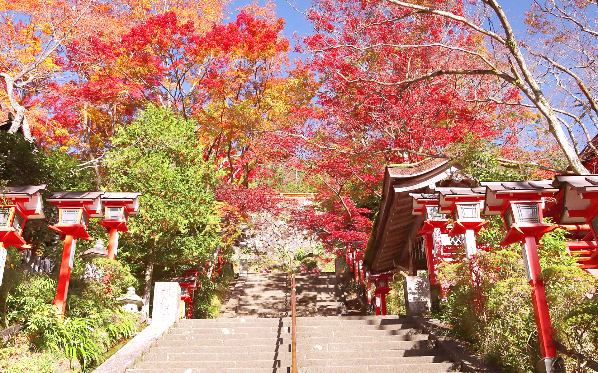 秋の京都・鞍馬寺の紅葉