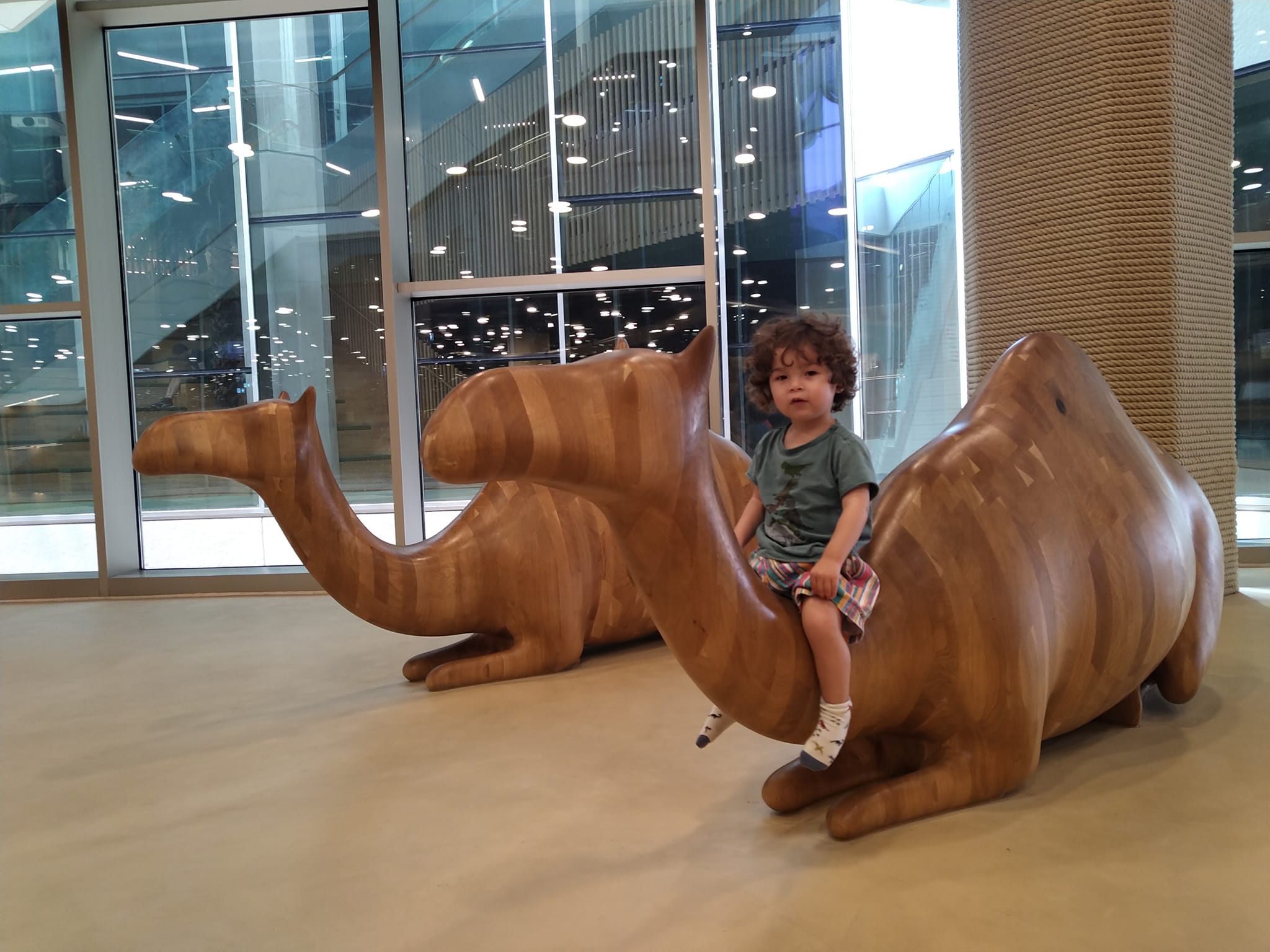 Global nomad multilingual toddler riding on a camel's back