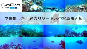 ゴープロ（GoPro）で撮影した世界のリゾート水中写真まとめ