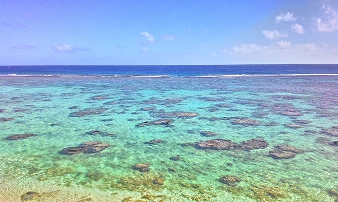 透き通る海の珊瑚礁－クック諸島ラロトンガ島